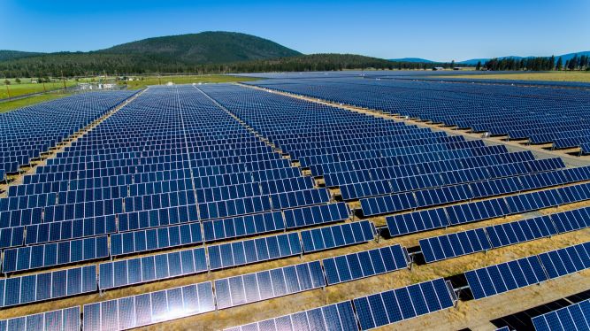 Palmer Circle Community Solar Hero