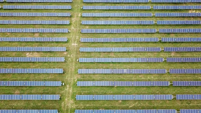 Palmer Circle Community Solar Image 4